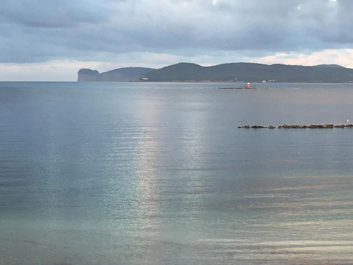 Il Mare Di Alida Lejlighed Alghero Italien